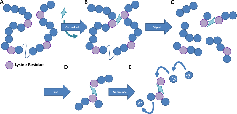 Figure showing XCMS workflow